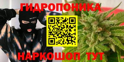 спайс Лесной