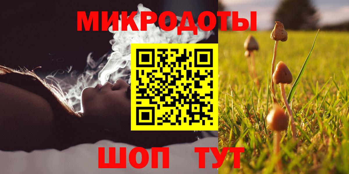 Галлюциногенные грибы прущие грибы Кандалакша