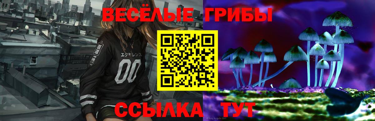 Псилоцибиновые грибы мицелий  Вход с VPN  Кандалакша  Галлюциногенные грибы мицелий 